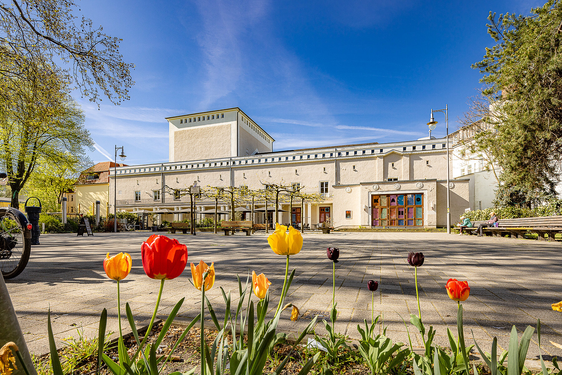 Im Vordergrund blühende Tulpen, im Hintergrund das beige Gebäude des Theaters.