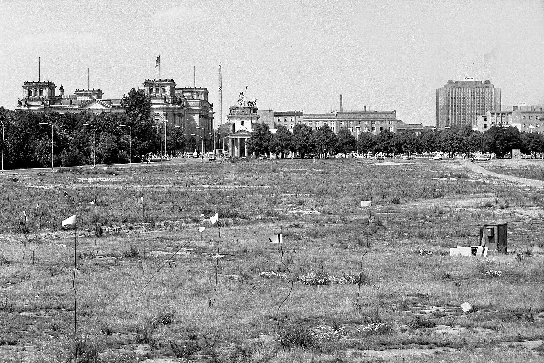 A spacious meadow, on the right in the background is the Reichstag building. To the left are other high-rise buildings. 